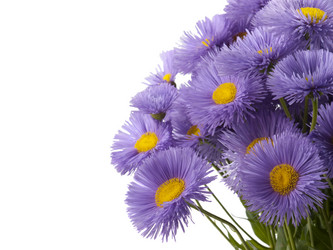 Similar image 623331