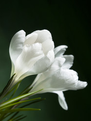 Similar image 623332