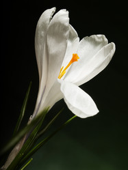 Similar image 623333