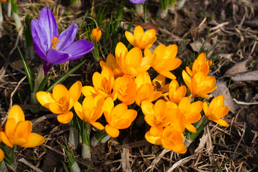 Similar image 623334