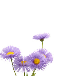 Similar image 623338