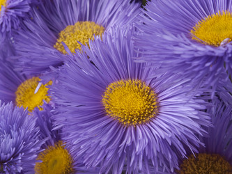 Similar image 623339