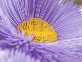 Similar image 623340