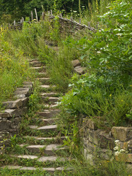 Similar image 623341