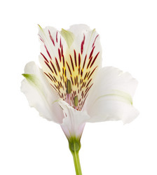 Similar image 623345