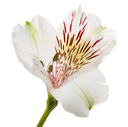 Similar image 623346