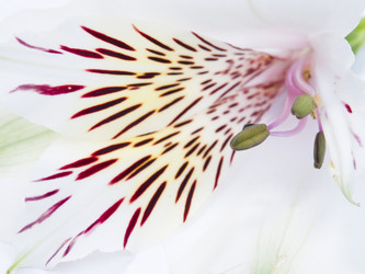 Similar image 623348