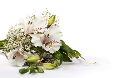 Similar image 623354