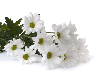 Similar image 623356