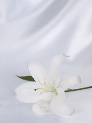 Similar image 623357