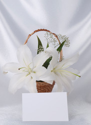 Similar image 623366