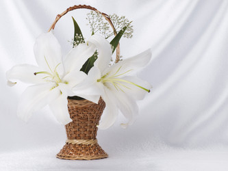 Similar image 623368