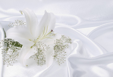 Similar image 623369