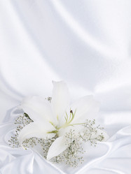 Similar image 623371