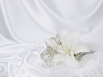 Similar image 623372