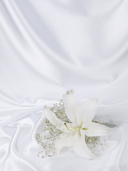 Similar image 623378