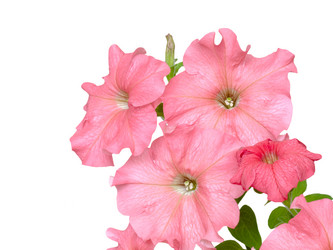 Similar image 623379