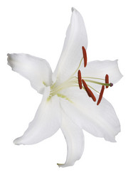 Similar image 623383