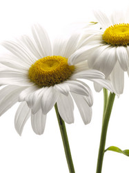 Similar image 623387