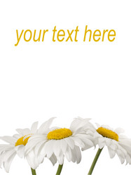 Similar image 623388