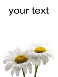 Similar image 623389