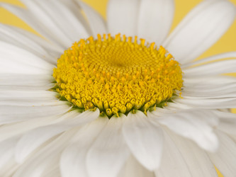 Similar image 623390