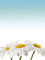 Similar image 623391