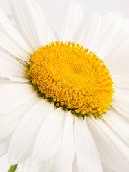 Similar image 623392