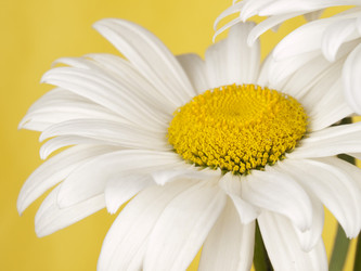 Similar image 623394