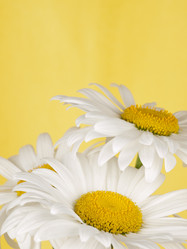 Similar image 623397