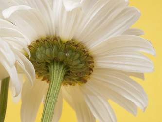 Similar image 623398