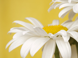 Similar image 623399