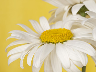 Similar image 623400