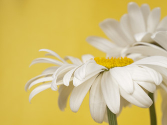 Similar image 623401