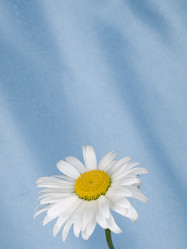 Similar image 623403