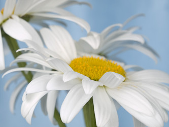 Similar image 623404