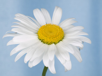 Similar image 623405