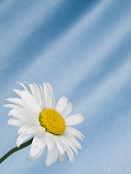 Similar image 623406