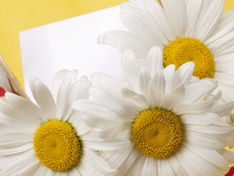 Similar image 623411