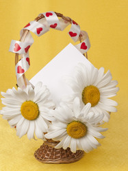 Similar image 623412