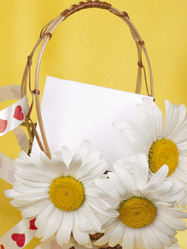 Similar image 623413