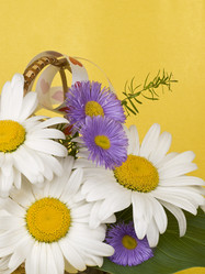 Similar image 623420