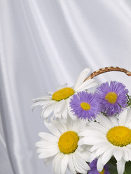 Similar image 623422