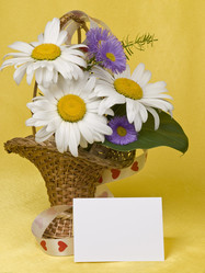 Similar image 623424