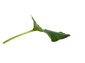 Similar image 623437