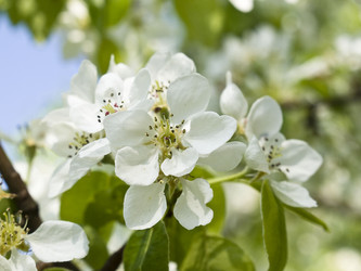 Similar image 623441