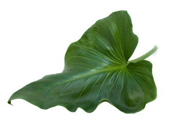 Similar image 623442