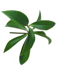 Similar image 623452