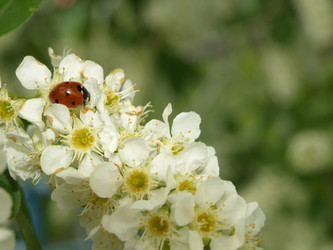 Similar image 623456