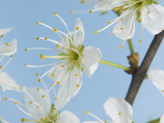 Similar image 623460